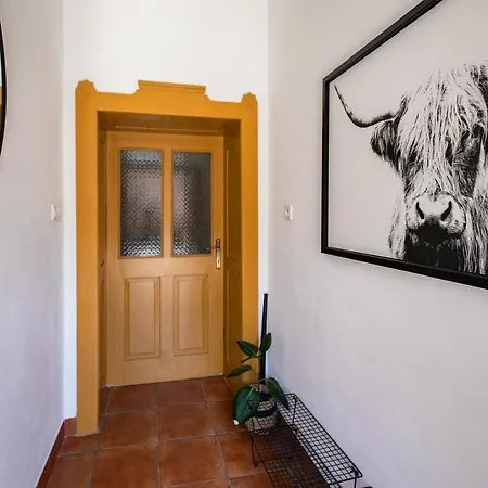 Villa Witke *