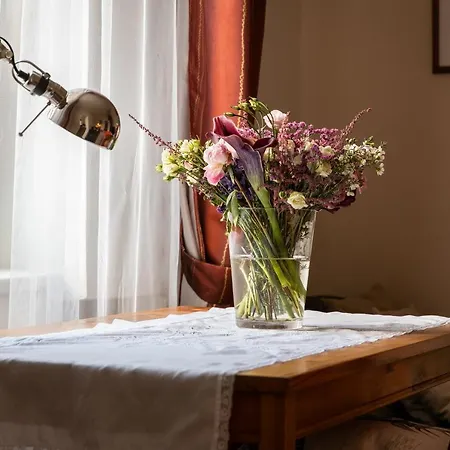 Witke Dolní Dunajovice