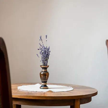 Witke * Dolní Dunajovice